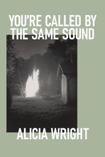 Book Cover of You’re Called by the Same Sound