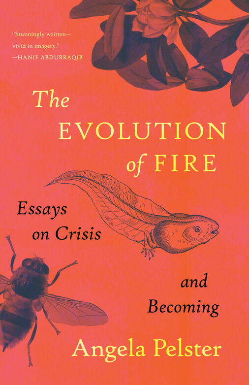 Book cover, The Evolution of Fire by Angela Pelster