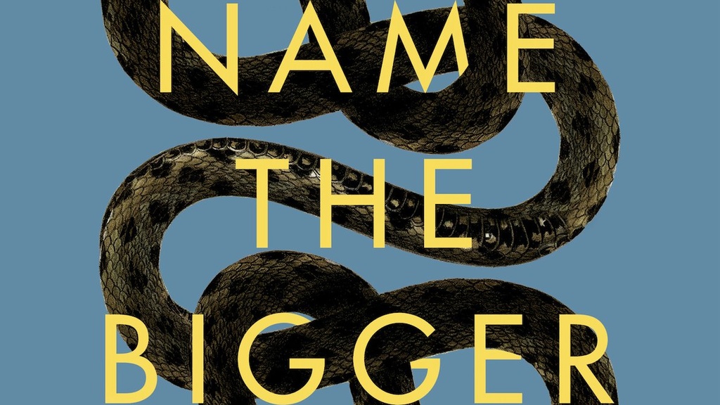 book cover of To Name the Bigger Lie by Sarah Viren