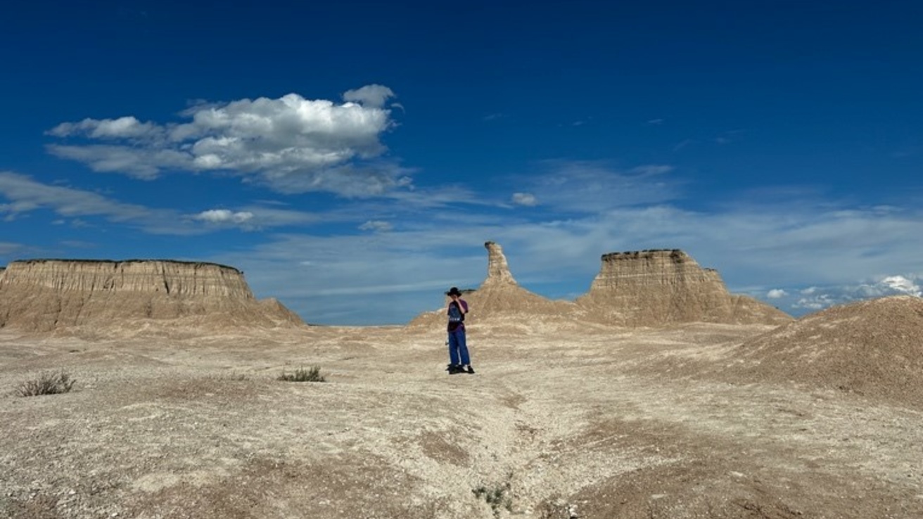 Krause Essay Prize Winner 2024